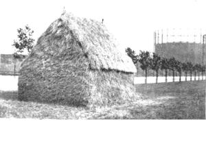haystack in blackwall lane